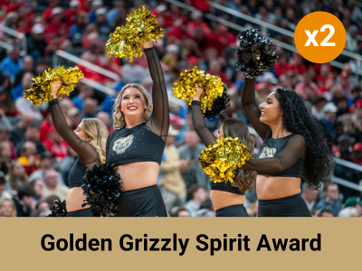 Golden Grizzly Spirit Award (31000) Tile Image