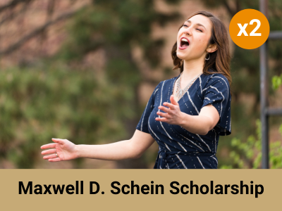 Max Schein Endowment (61676) Tile Image