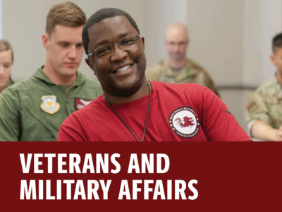 Veterans and Military Affairs Tile Image
