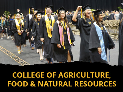 College of Agriculture, Food and Natural Resources Tile Image