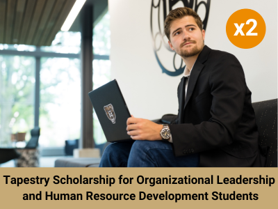 Tapestry Fund 4 Org Leadership & HR Develop(31229) Tile Image