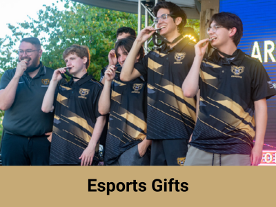 Esports Gifts (37834) Tile Image