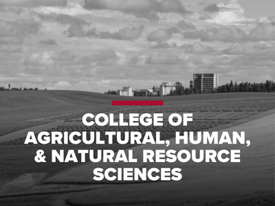 College of Agricultural, Human, and Natural Resource Sciences Tile Image
