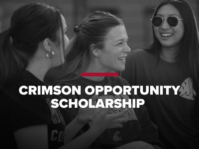 Crimson Opportunity Scholarship Tile Image