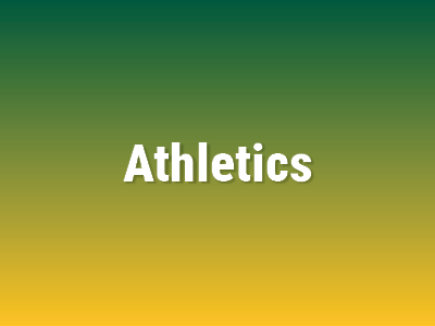 UAA Athletics Tile Image