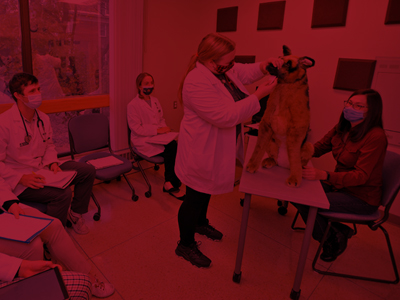 Diagnostic Challenge (Teaching Creativity Fund) Tile Image