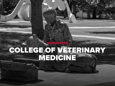 College of Veterinary Medicine Tile Image