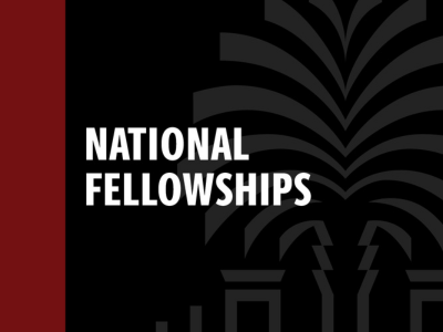 National Fellowships Tile Image