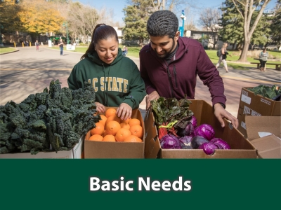 Basic Needs Tile Image