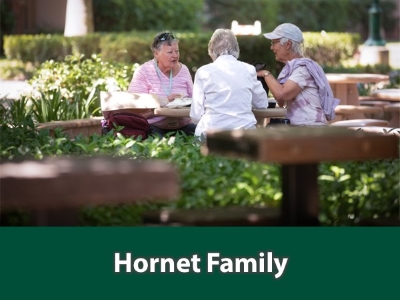Hornet Family Tile Image