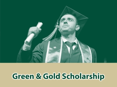 Green & Gold Scholarship Tile Image