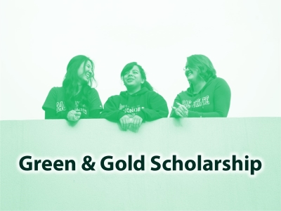 Green & Gold Scholarships Tile Image