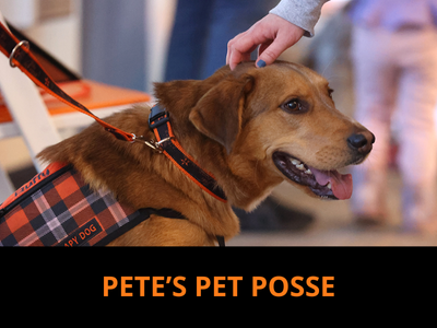 Pete's Pet Posse (Pet Therapy) Tile Image