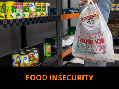 Food Insecurity Tile Image