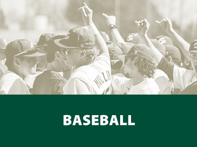 Baseball Tile Image