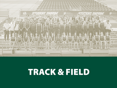 Track & Field Tile Image