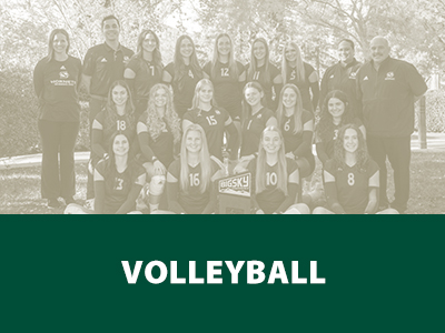 Volleyball Tile Image