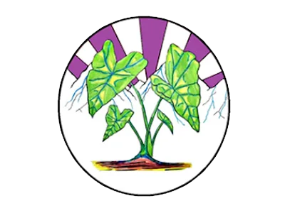 Wai‘ale‘ale Project Tile Image