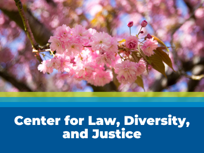 Center for Law, Diversity and Justice Tile Image