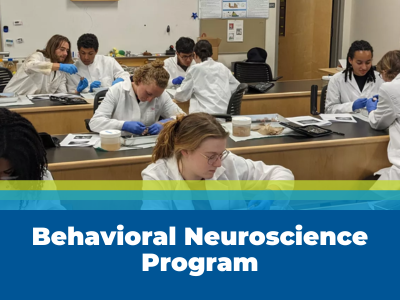 Behavioral Neuroscience Program Tile Image