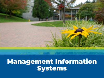 Management Information Systems Tile Image