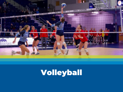 Varsity Volleyball Tile Image