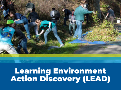 Learning Environment Action Discovery (LEAD) Tile Image