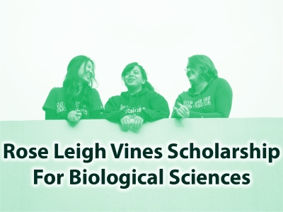 Rose Leigh Vines Scholarship Tile Image