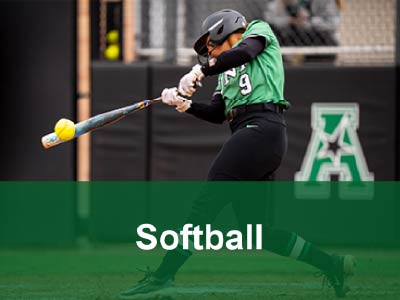 Softball Tile Image