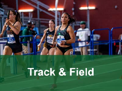Track & Field Tile Image