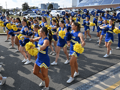 Delaware Cheer Tile Image