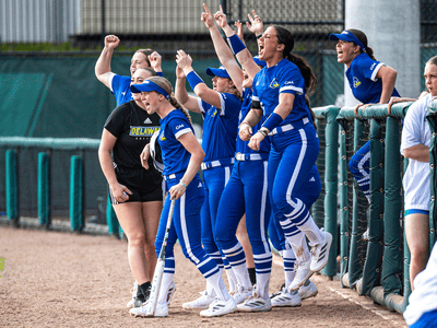 Delaware Softball Tile Image