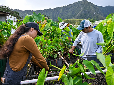 College of Tropical Agriculture & Human Resilience Tile Image