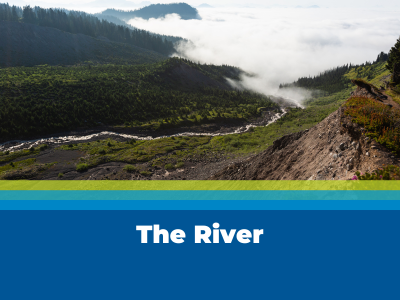 The River Tile Image