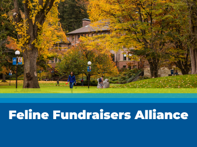 Feline Fundraisers Alliance Tile Image