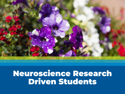 Neuroscience Research Driven Students Tile Image