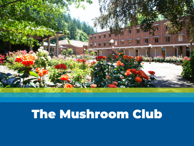 The Mushroom Club Tile Image