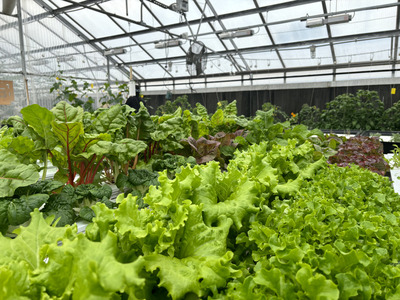 Hydroponics Club Tile Image