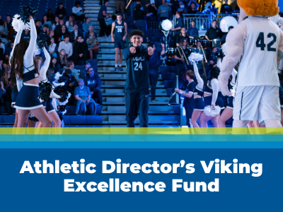 Athletic Director's Viking Excellence Fund Tile Image