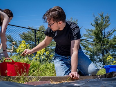 Immediate Impact and Scholarship Tile Image