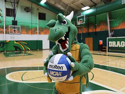 Volleyball Tile Image