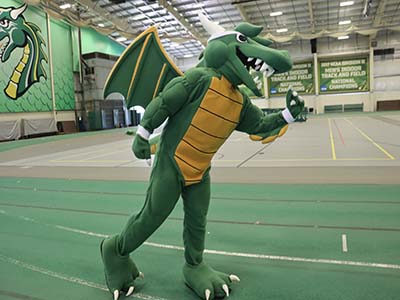 Cross Country - Men and Women Tile Image