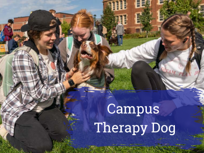Campus Therapy Dog Tile Image