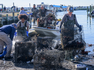 Delaware Sea Grant Tile Image