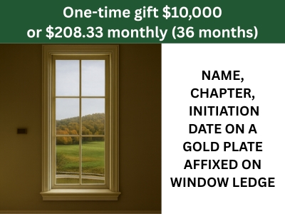 Frontal Window (11) Tile Image