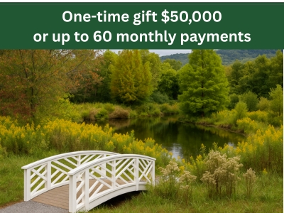 Campus Pond (1) Tile Image