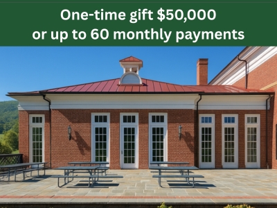 The New Wing Terrace (1) Tile Image