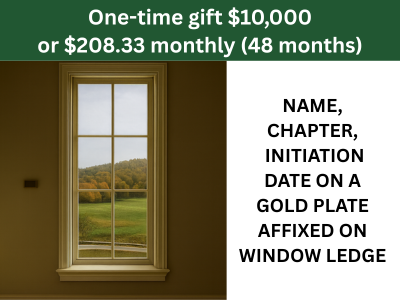 Frontal Window (11) Tile Image