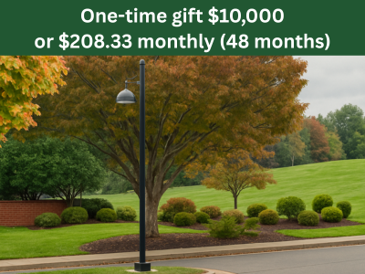 Campus Grounds Street Lamp (4) Tile Image