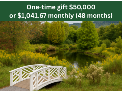 Campus Pond (1) Tile Image